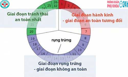 cach-tinh-tuoi-thai-ky-theo-ngay-rung-trung